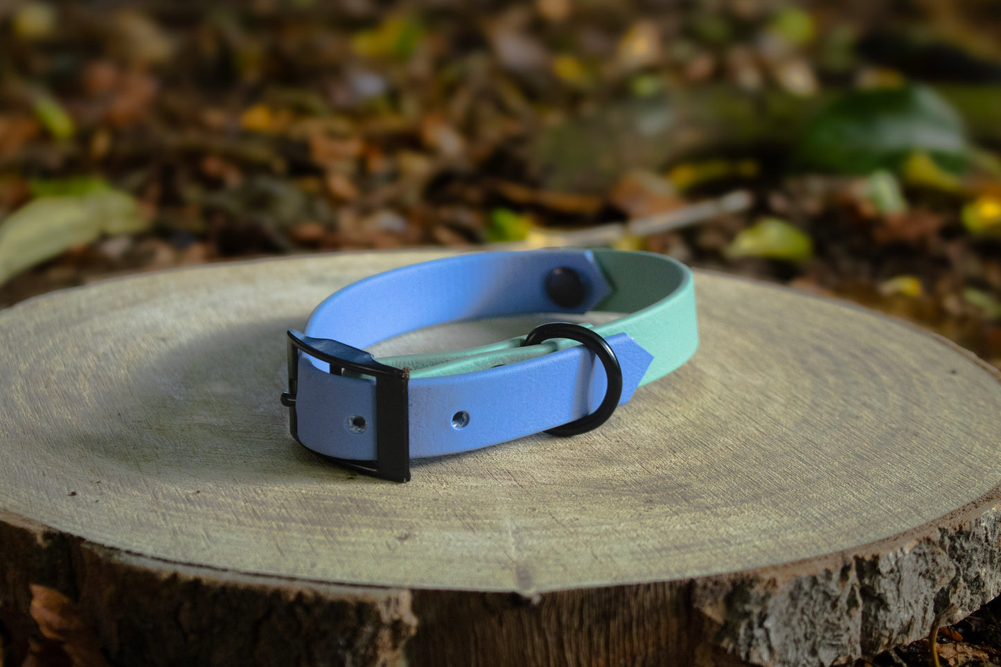 Polar Blue & Sage Green Biothane Dog Collar | Waterproof & Durable