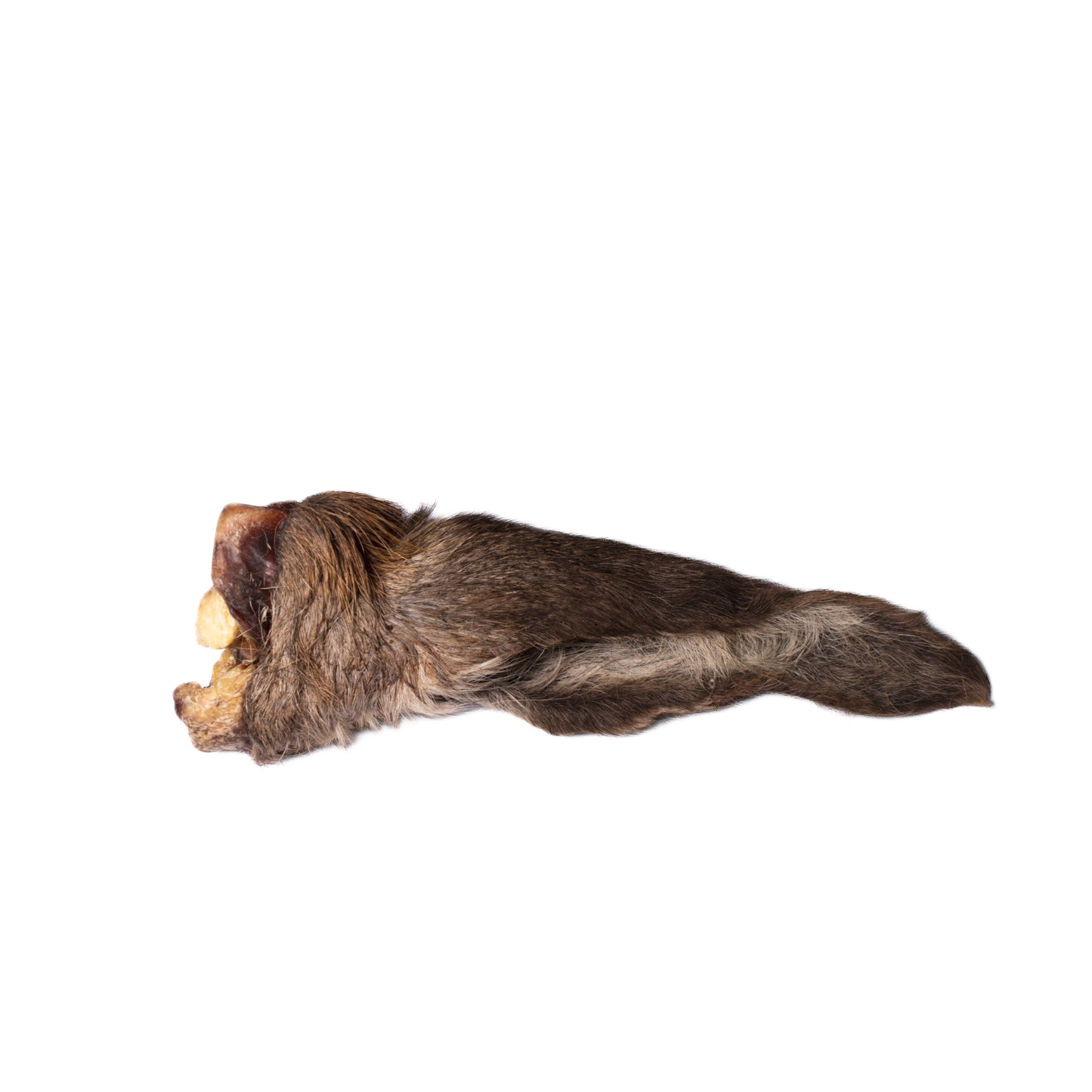 Hairy Venison Ear | Natural Dog Treat