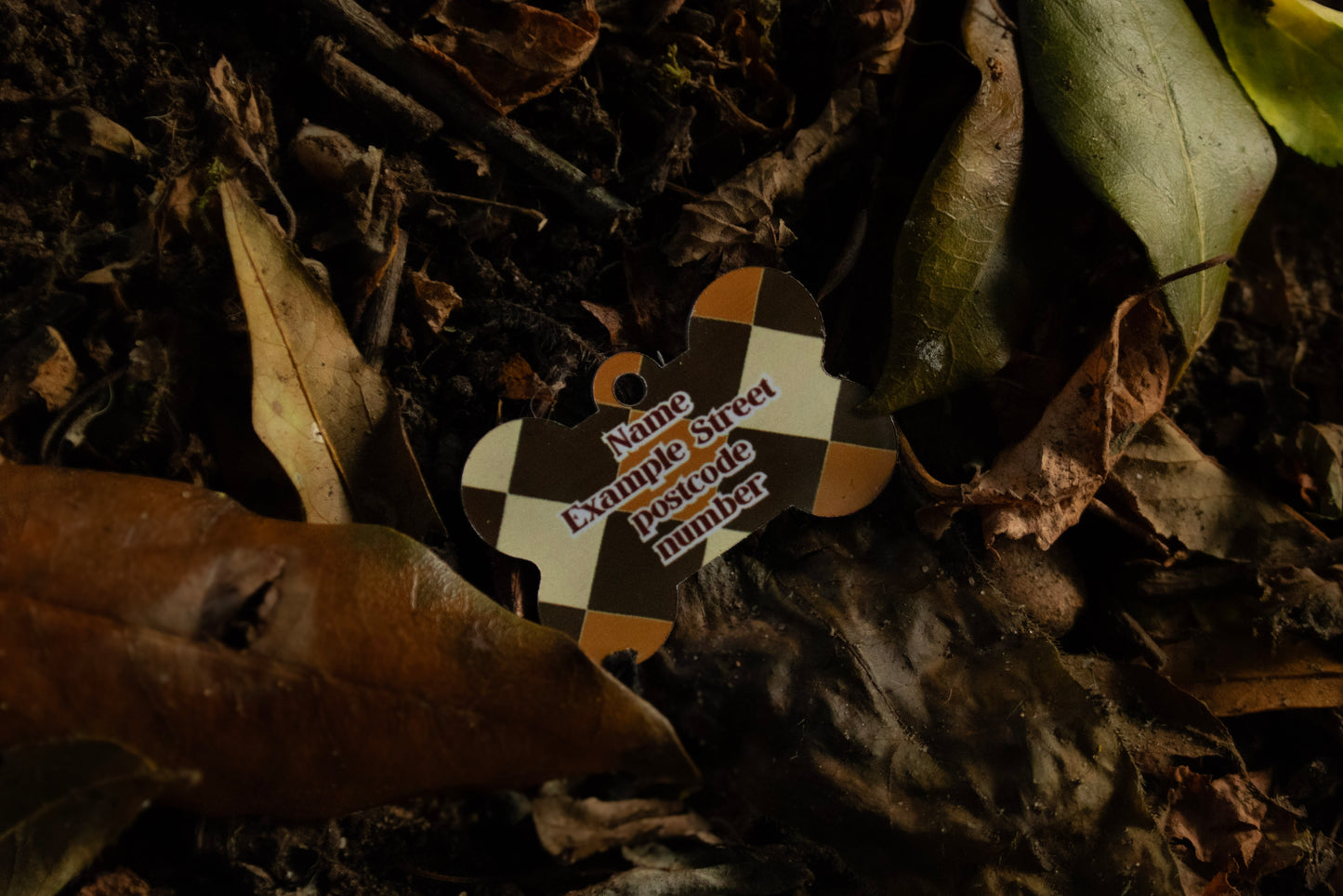Jasper Dog Tag