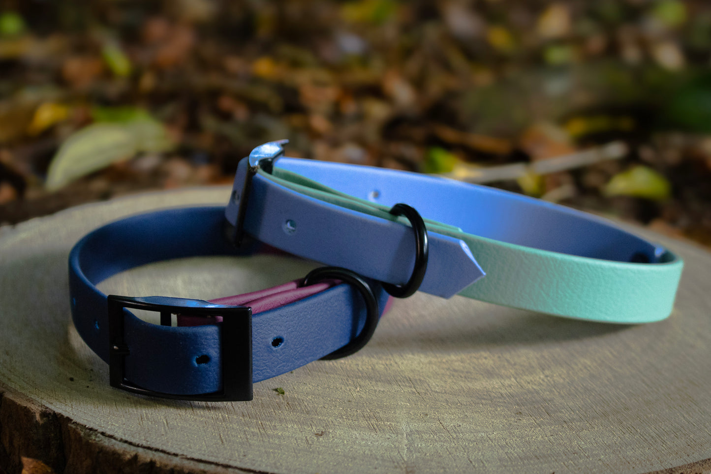 Polar Blue & Sage Green Biothane Dog Collar | Waterproof & Durable