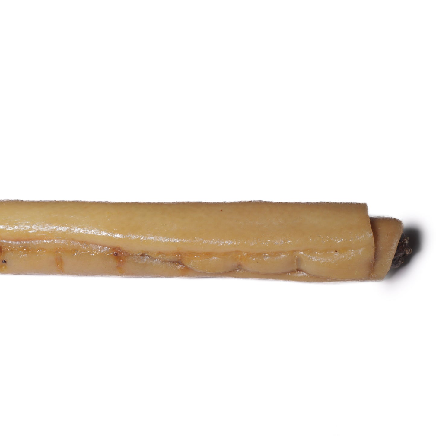 Sausage Roll | Natural Dog Treat