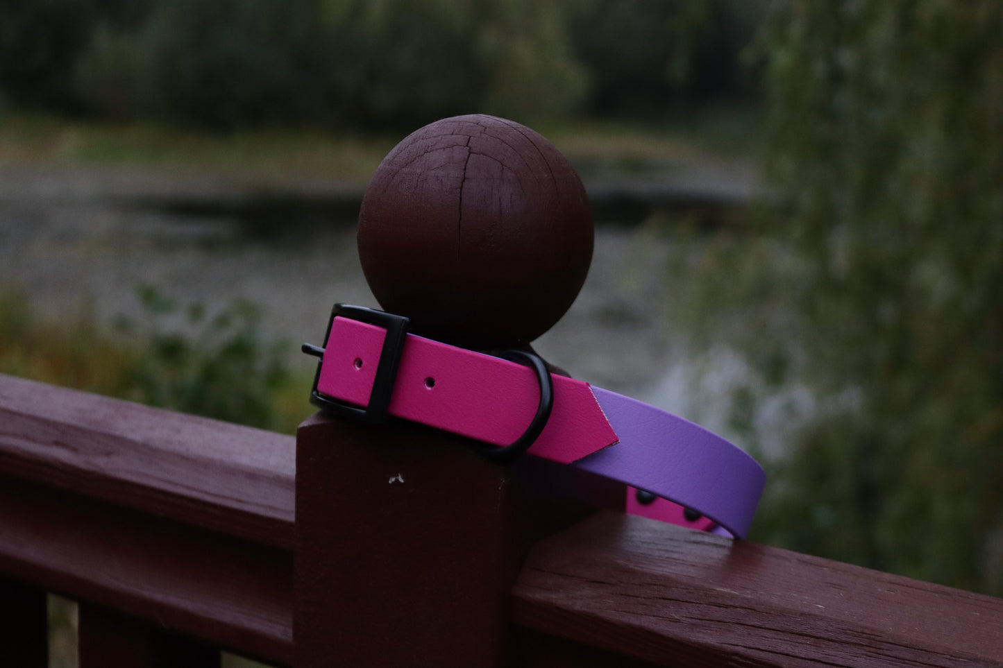 Magenta & Purple Biothane Dog Collar | Waterproof & Durable