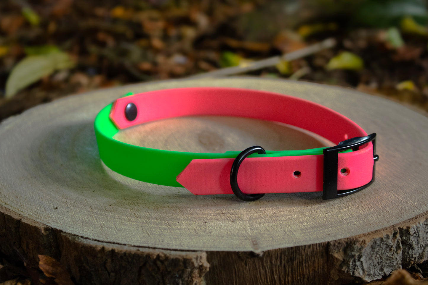 Neon Pink & Neon Green Biothane Dog Collar | Waterproof & Durable
