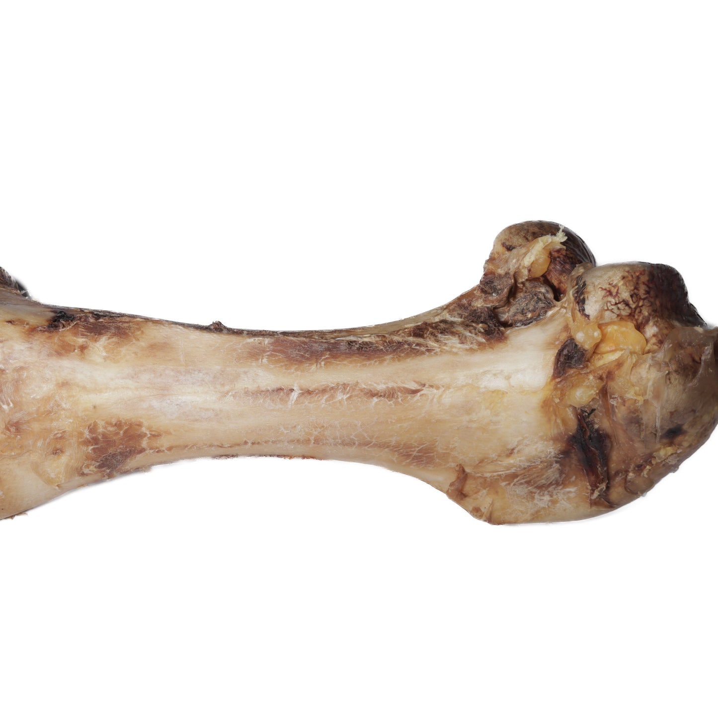 Jumbo Ostritch Bone | Natural Dog Treat