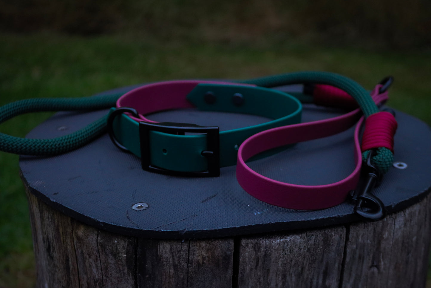 Forest Green & Burgundy Dog Lead