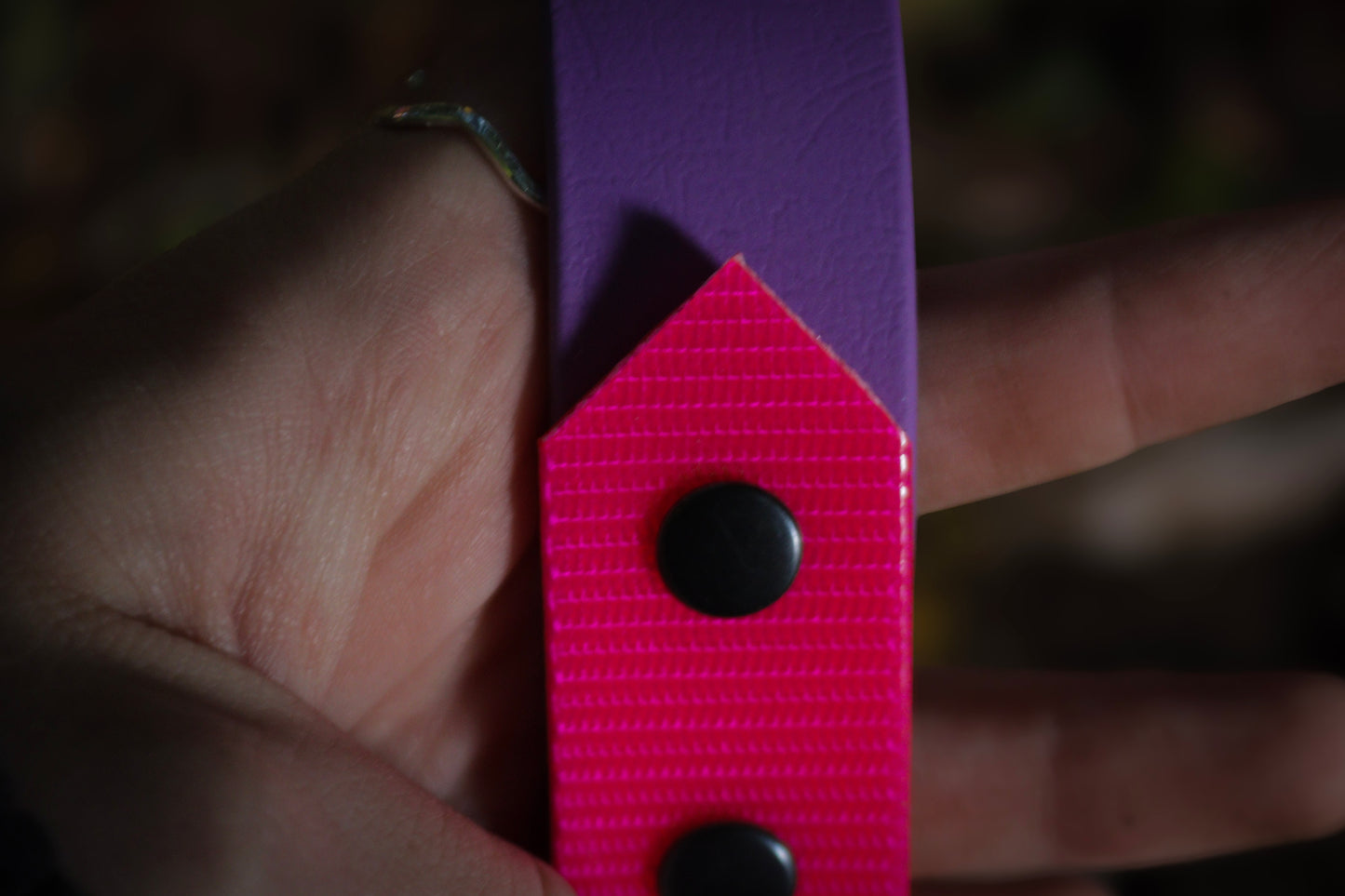 Purple & Premium Neon Pink Biothane Dog Collar | Waterproof & Durable