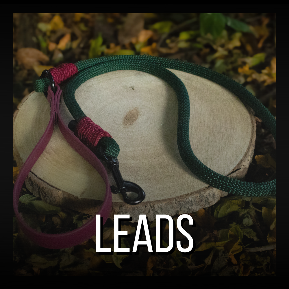 Leads