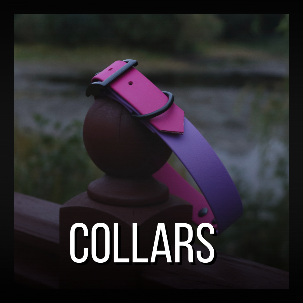 Biothane Dog Collars