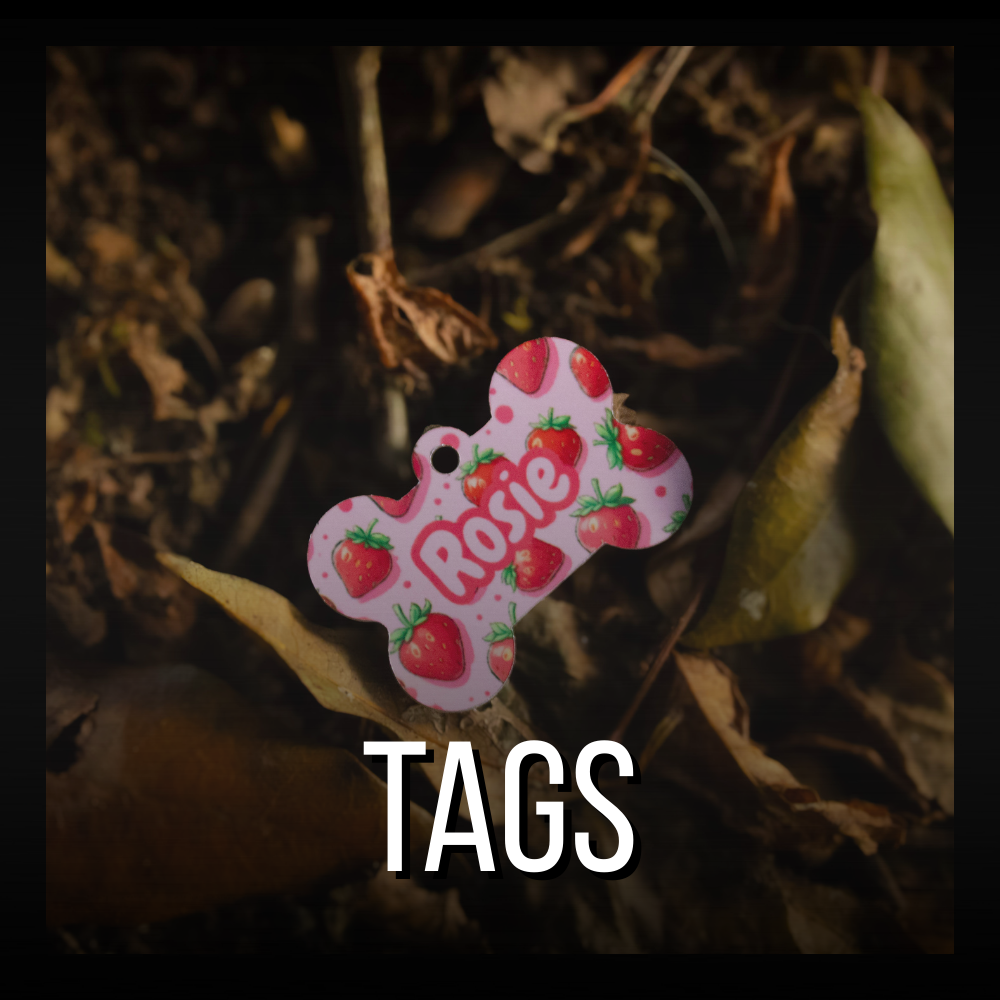 Custom Dog Tags