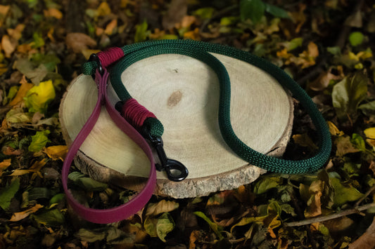 Forest Green & Burgundy Dog Lead