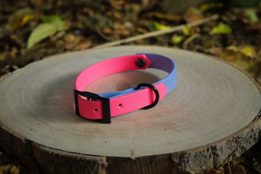 Pink & Polar Blue Biothane Dog Collar | Waterproof & Durable