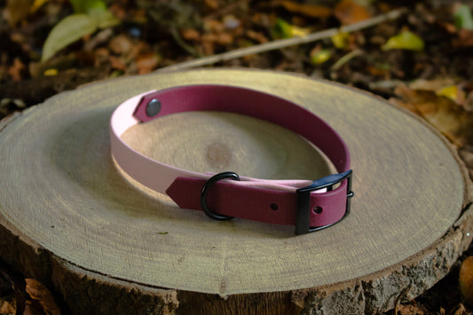 Magenta & Baby Pink Biothane Dog Collar | Waterproof & Durable