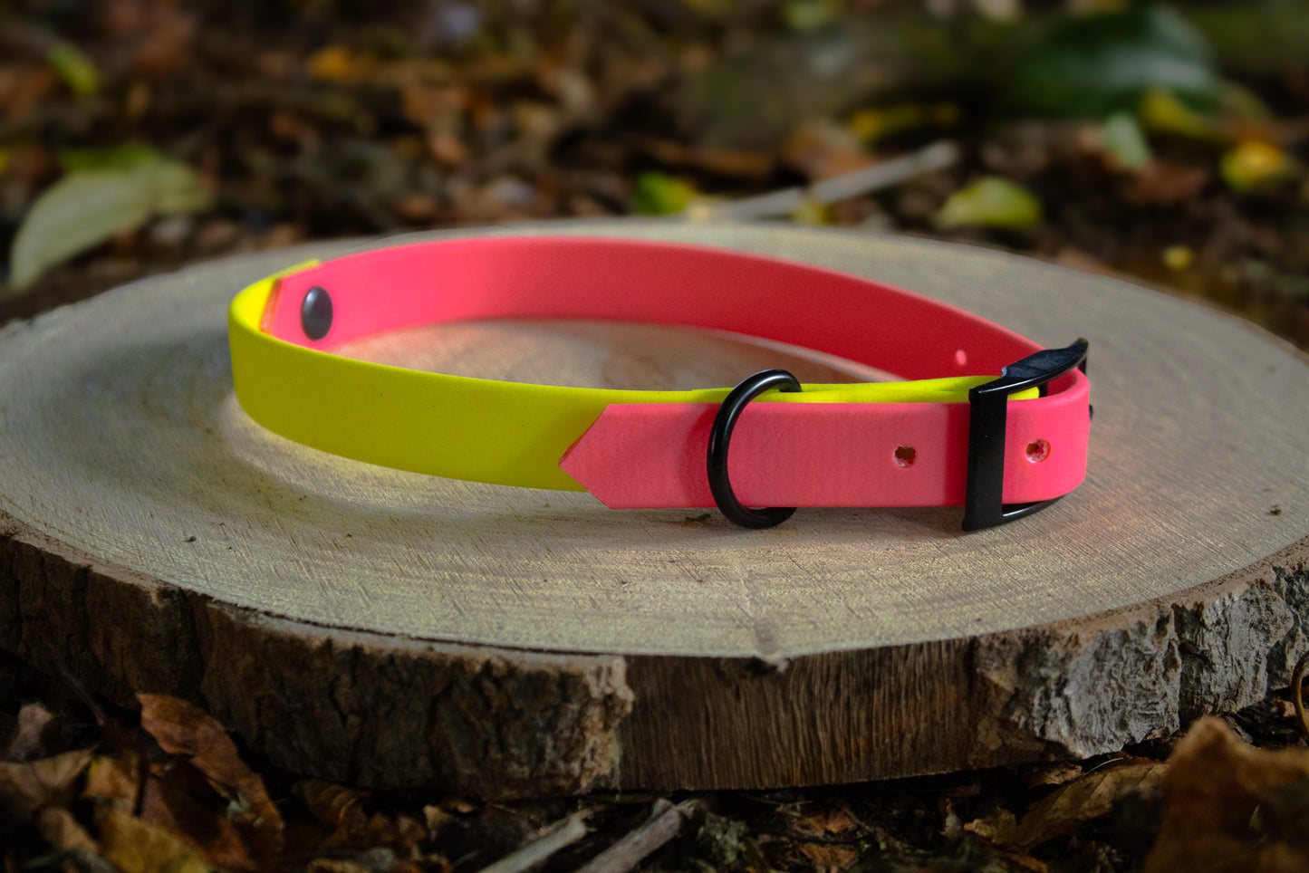 Neon Pink & Neon Yellow Biothane Dog Collar | Waterproof & Durable