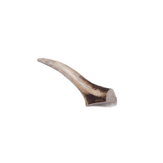 Small Antler | Natural Dog Treat