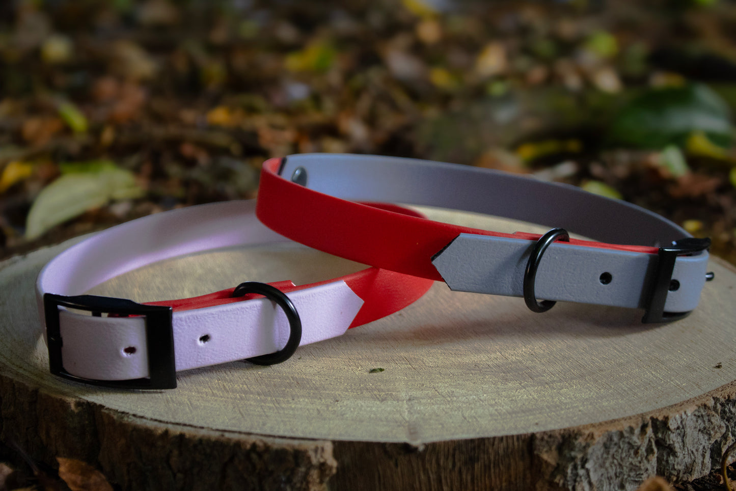 Lilac & Red Biothane Dog Collar | Waterproof & Durable
