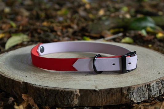 Lilac & Red Biothane Dog Collar | Waterproof & Durable