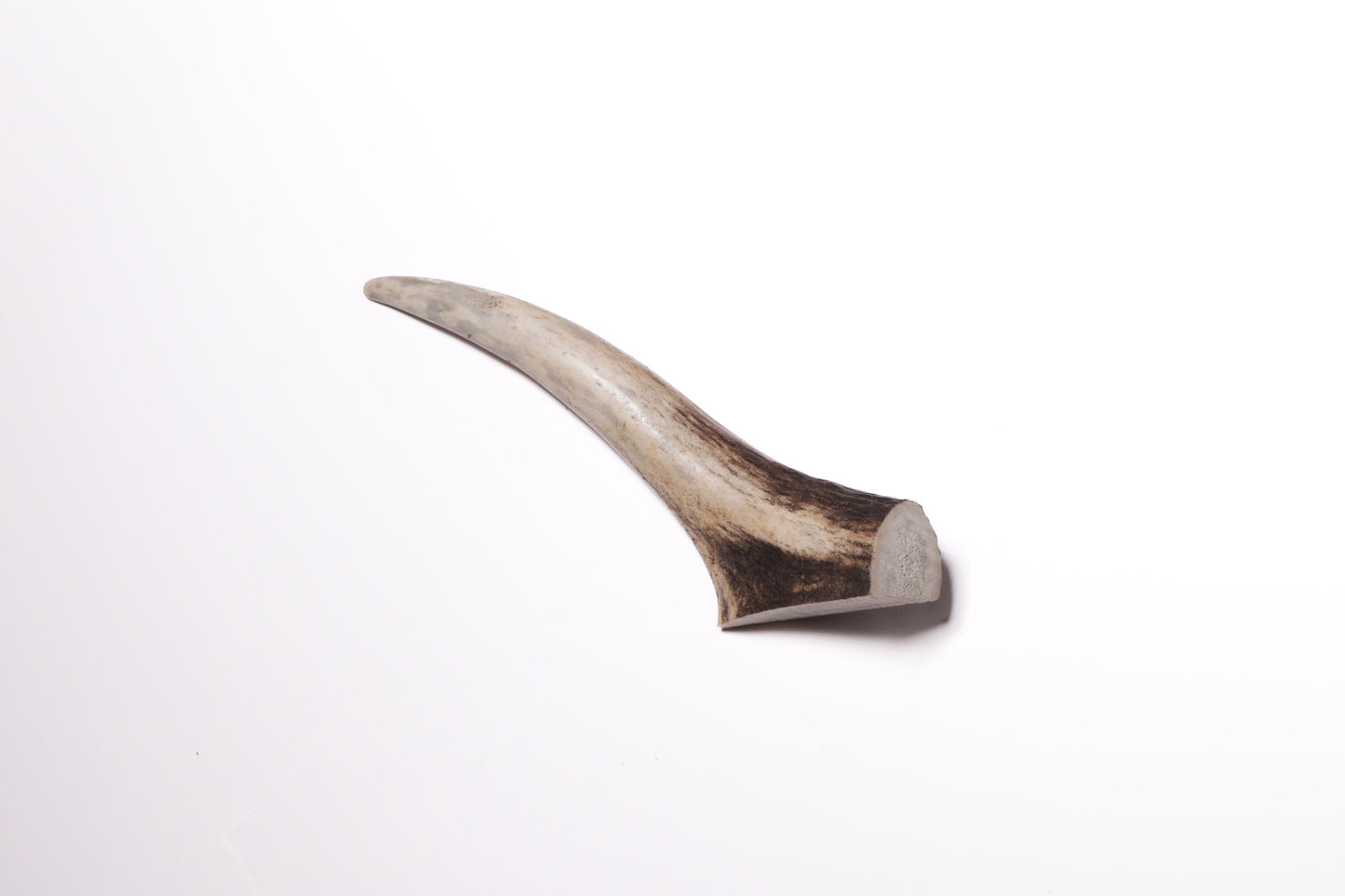 Small Antler