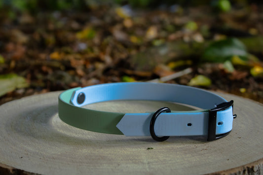 Baby Blue & Sage Green Biothane Dog Collar | Waterproof & Durable