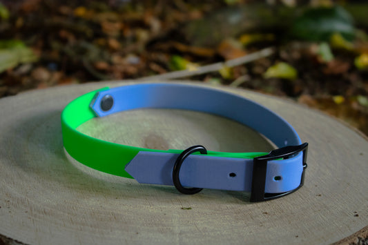Polar Blue & Neon Green Biothane Dog Collar | Waterproof & Durable
