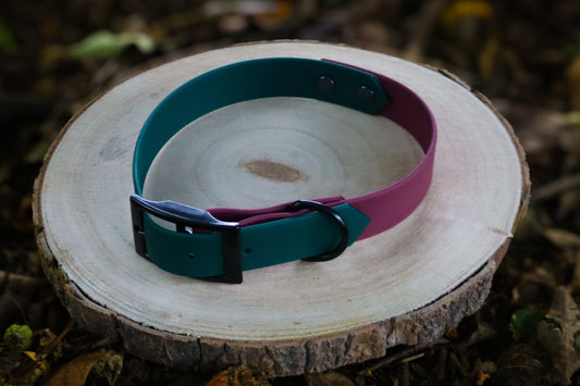 Forest Green & Burgundy Biothane Dog Collar | Waterproof & Durable