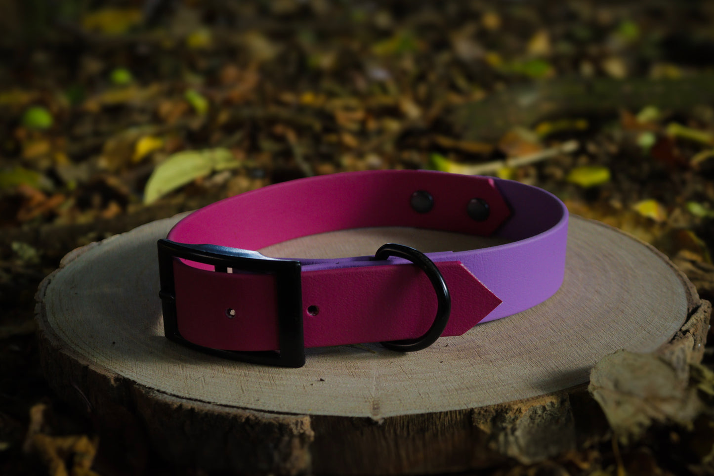 Magenta & Purple Biothane Dog Collar | Waterproof & Durable