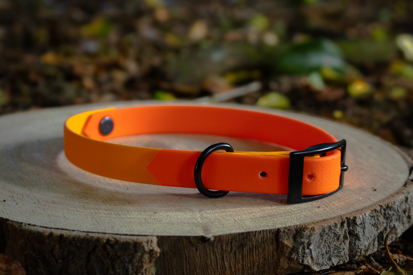 Fox Orange & Orange Biothane Dog Collar | Waterproof & Durable