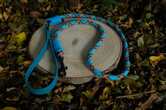 Blue Aztec Dog Lead