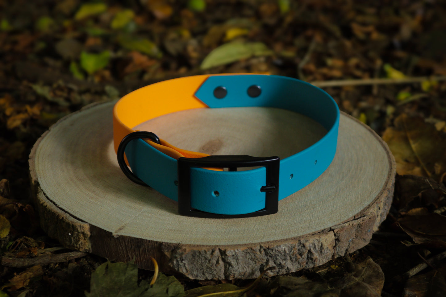 Blue & Orange Biothane Dog Collar | Waterproof & Durable