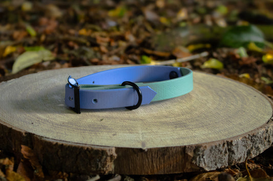 Polar Blue & Sage Green Biothane Dog Collar | Waterproof & Durable