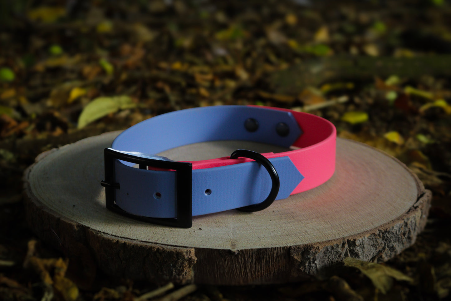 Polar Blue & Pink Biothane Dog Collar | Waterproof & Durable