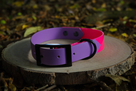 Purple & Premium Neon Pink Biothane Dog Collar | Waterproof & Durable