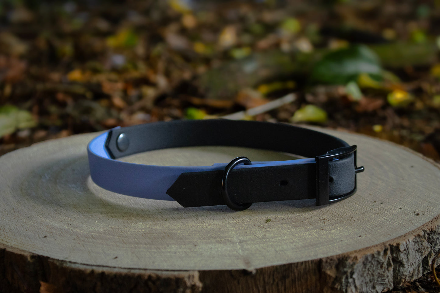 Black & Polar Blue Biothane Dog Collar | Waterproof & Durable