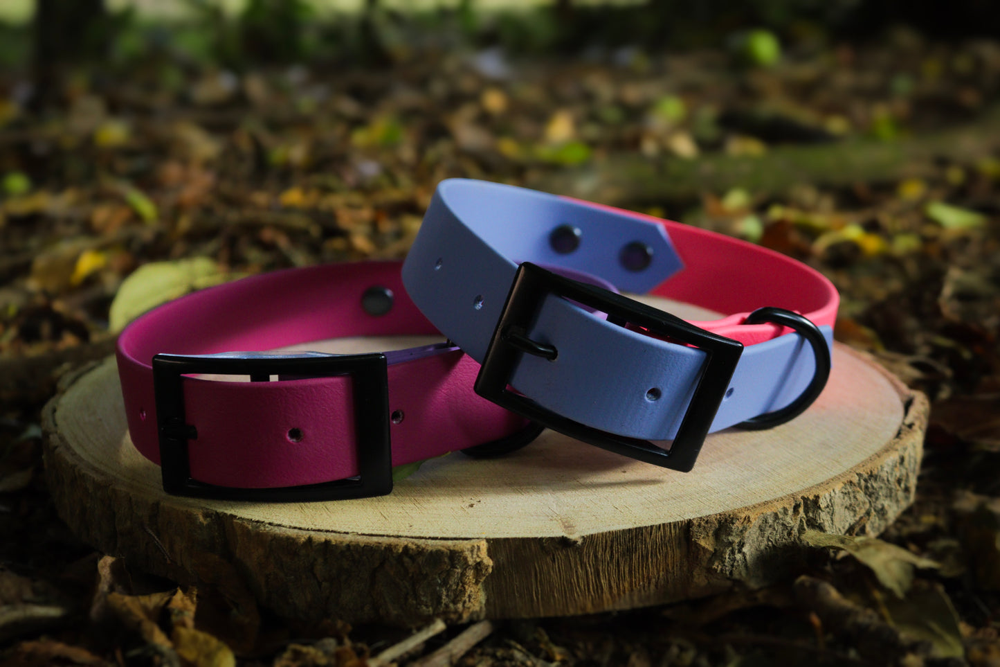 Polar Blue & Pink Biothane Dog Collar | Waterproof & Durable