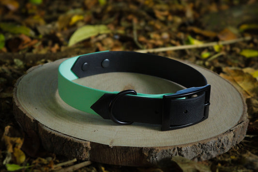 Black & Aqua Biothane Dog Collar | Waterproof & Durable