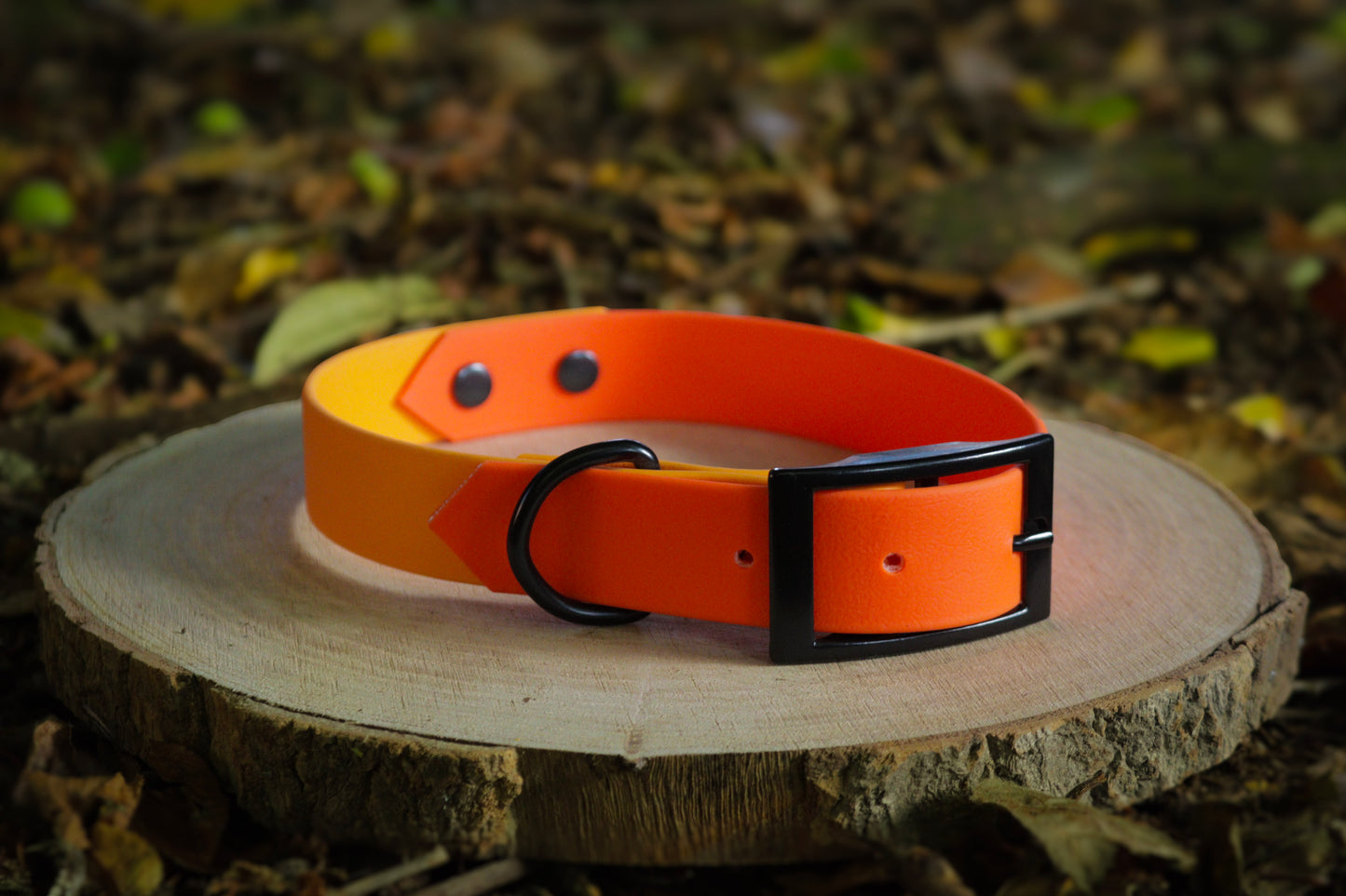 Orange & Fox Orange Biothane Dog Collar | Waterproof & Durable