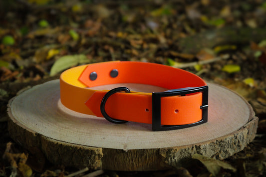 Orange & Fox Orange Biothane Dog Collar | Waterproof & Durable