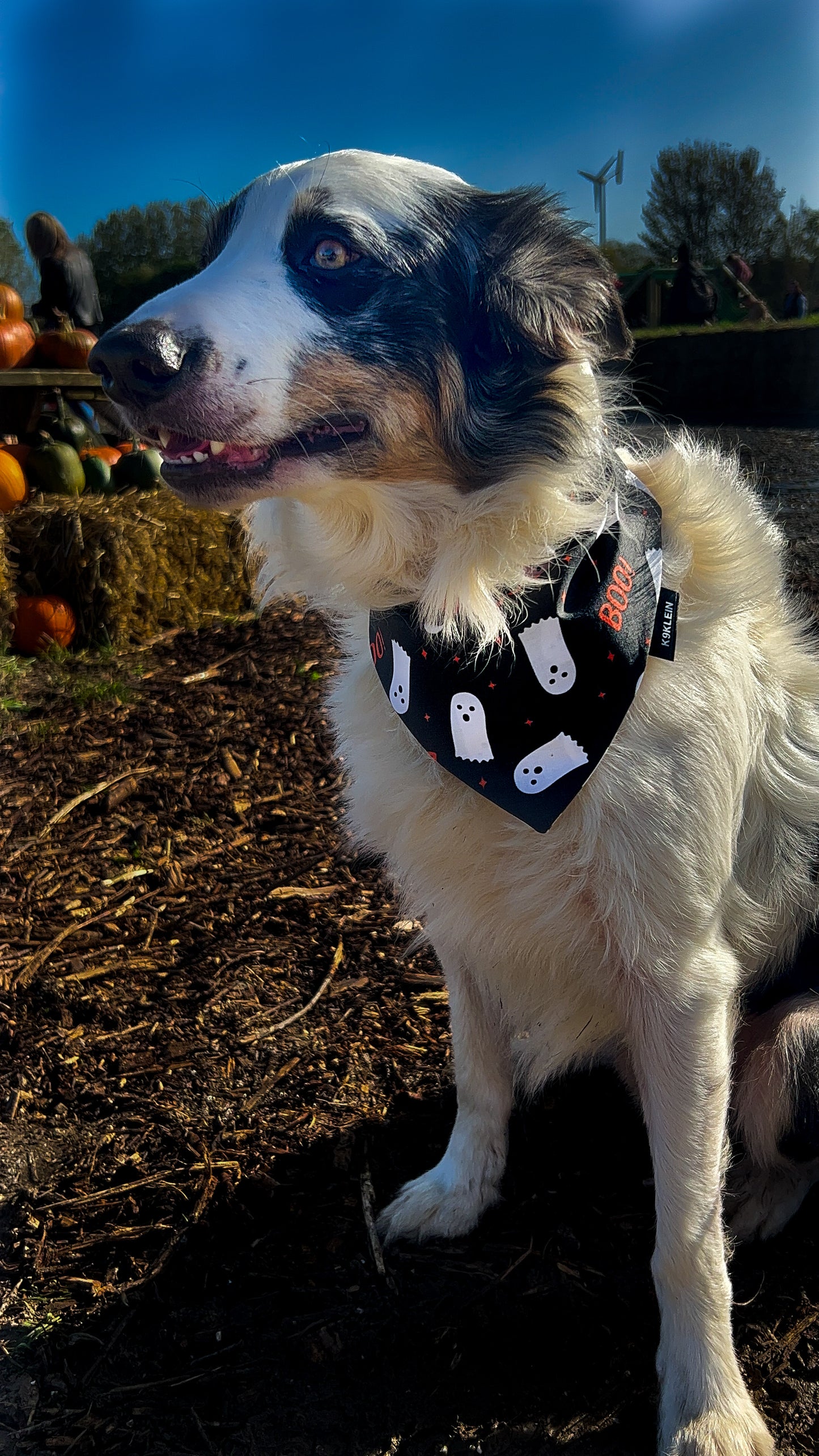 Boo! Bandana