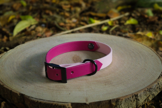 Magenta & Baby Pink Biothane Dog Collar | Waterproof & Durable