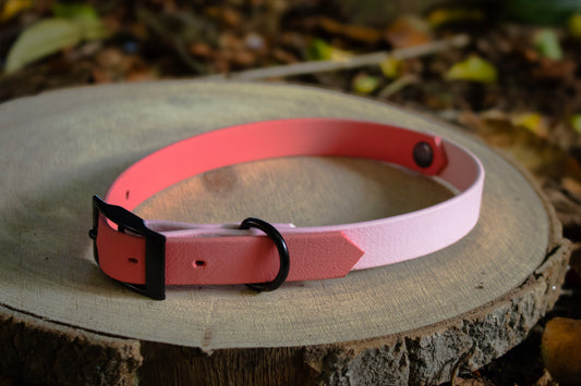 Coral & Baby Pink Biothane Dog Collar | Waterproof & Durable