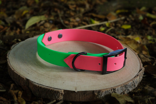 Neon Pink & Neon Green Biothane Dog Collar | Waterproof & Durable