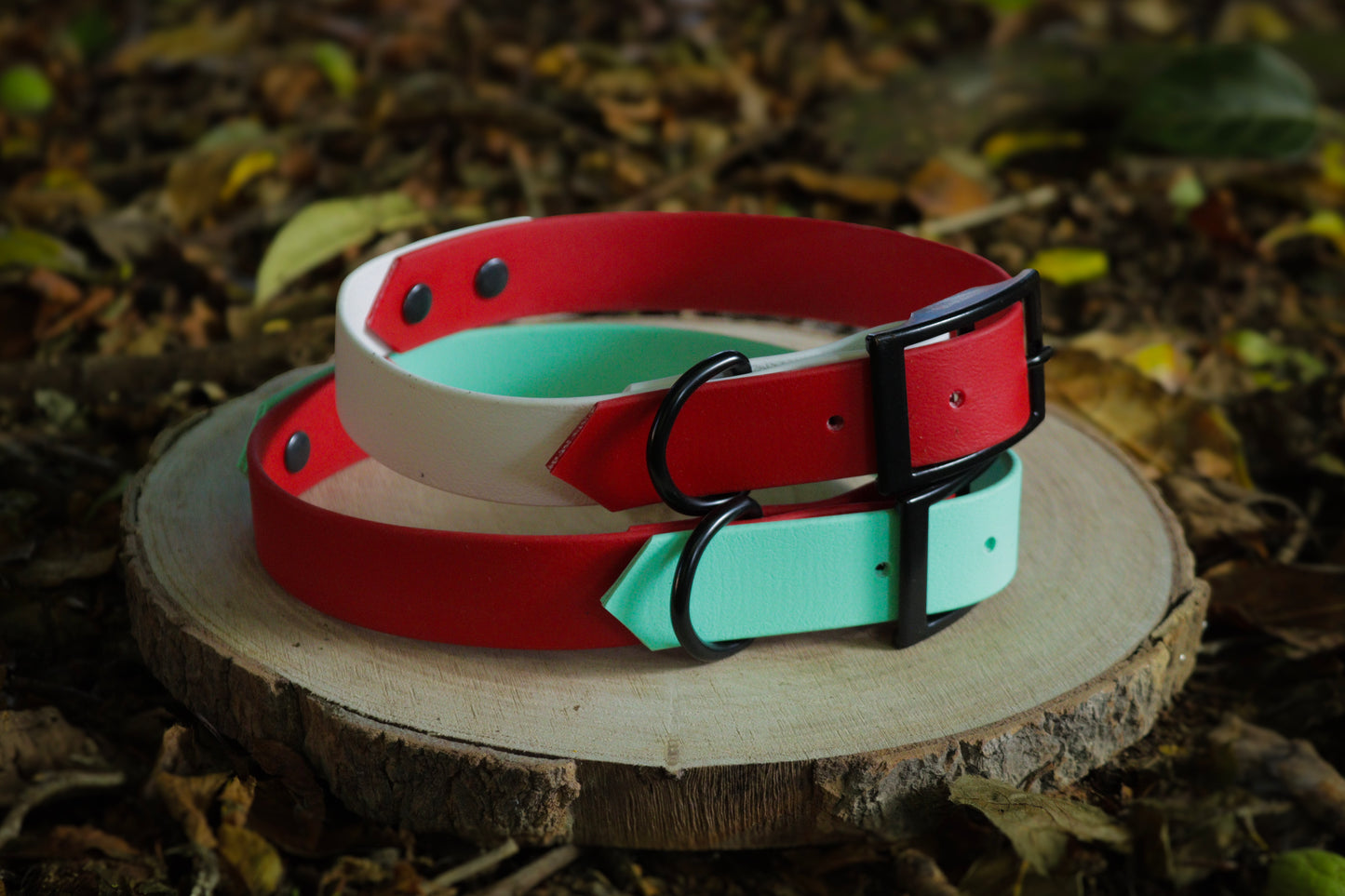 Teal & Red Biothane Dog Collar | Waterproof & Durable