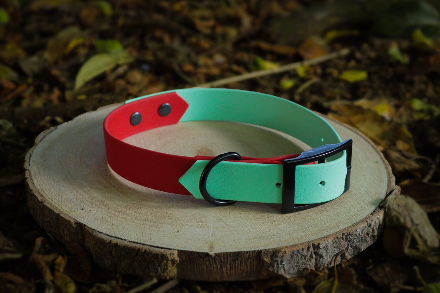 Teal & Red Biothane Dog Collar | Waterproof & Durable