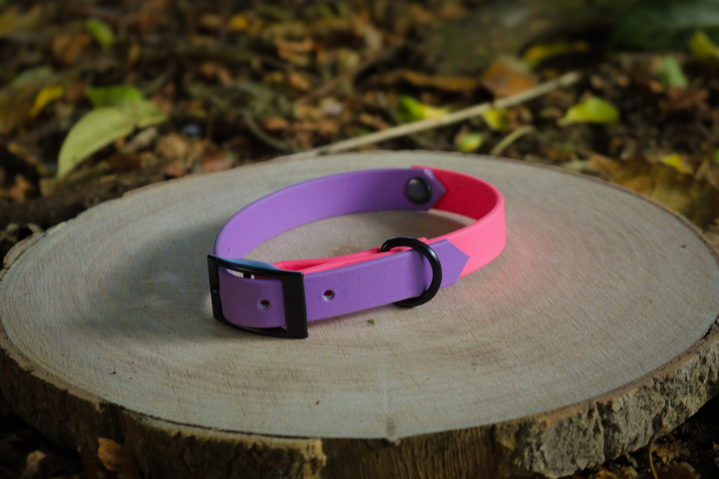Purple & Pink Biothane Dog Collar | Waterproof & Durable