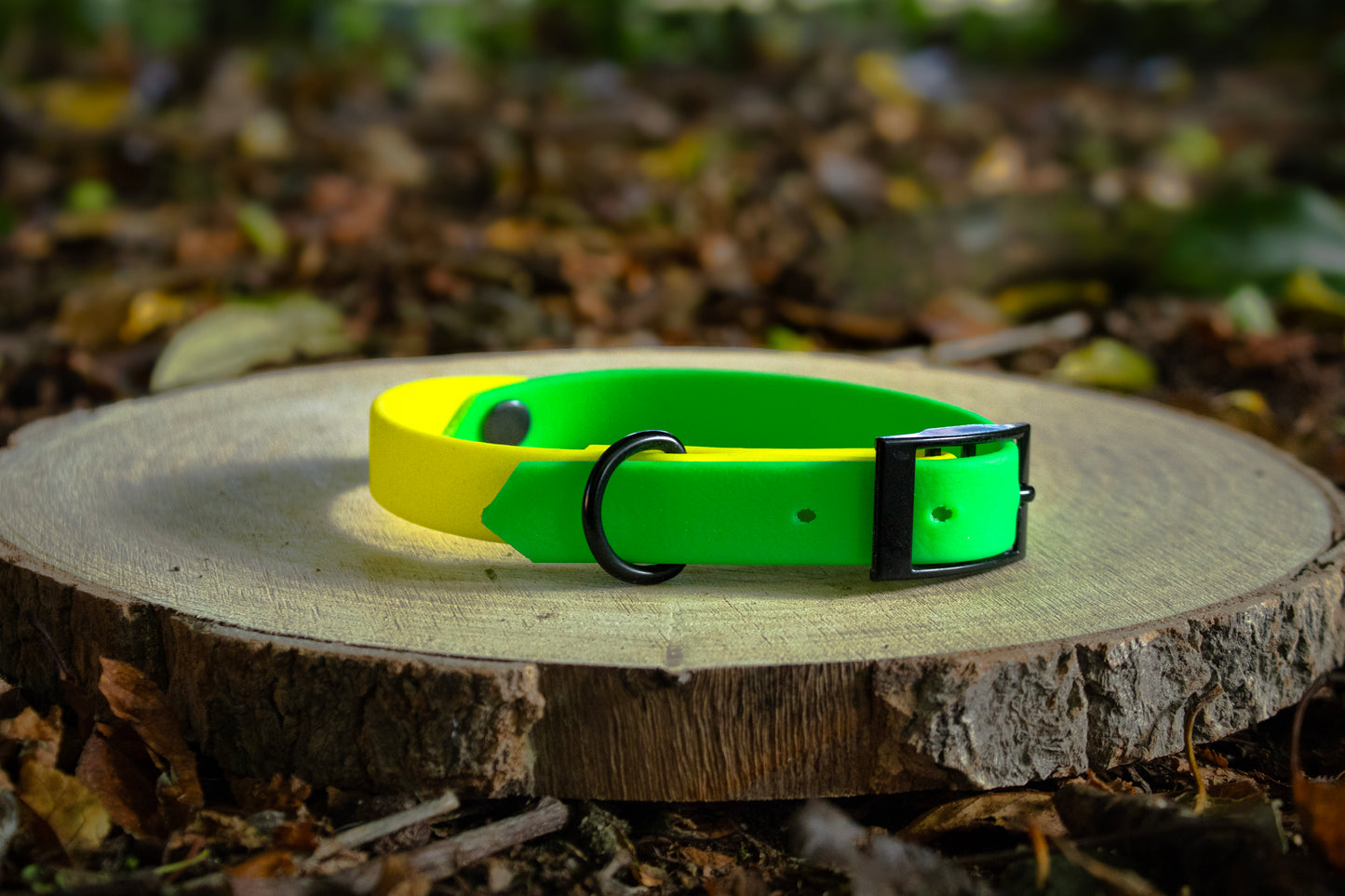 Neon Green & Neon Yellow Biothane Dog Collar | Waterproof & Durable
