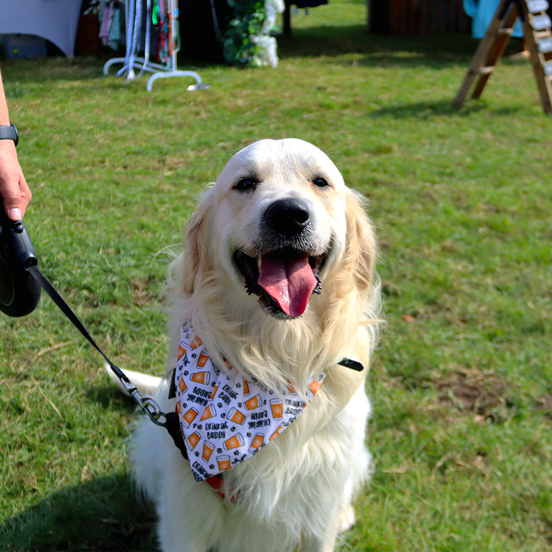 Drinking Buddy Bandana