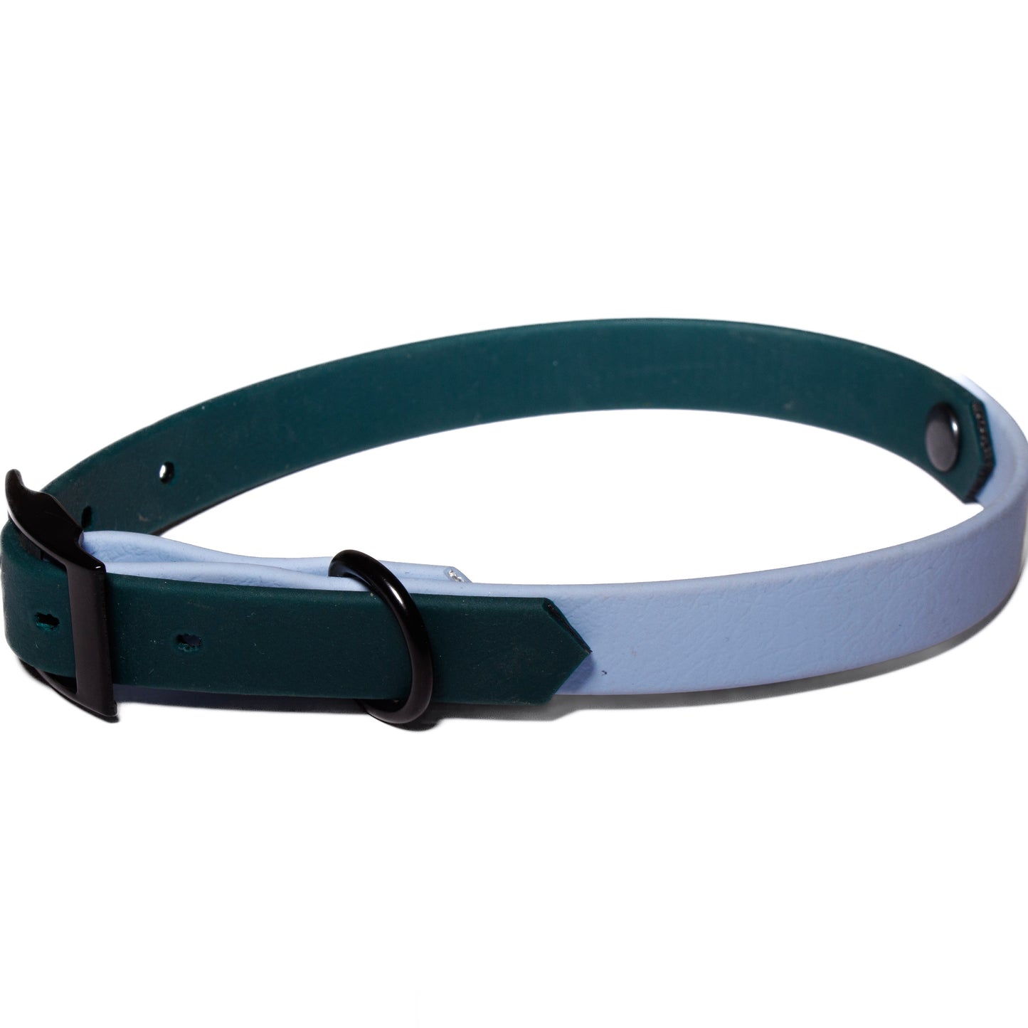 Forest Green & Polar Blue | Waterproof Biothane Dog Collar – Handmade in the UK