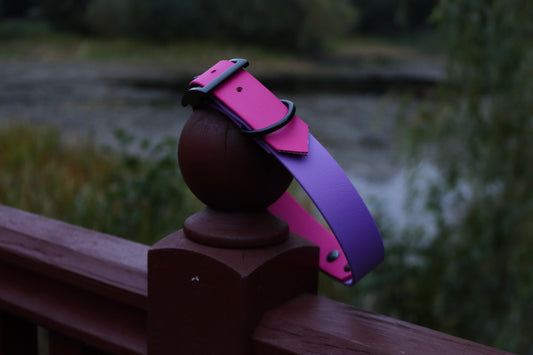 Magenta & Purple Biothane Dog Collar | Waterproof & Durable
