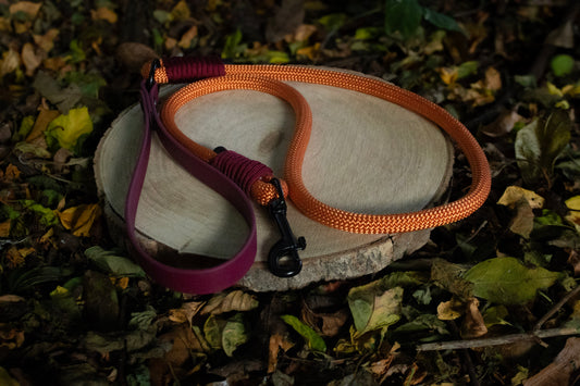 Orange & Burgundy Dog Lead