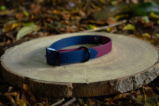 Navy Blue & Burgundy Biothane Dog Collar | Waterproof & Durable