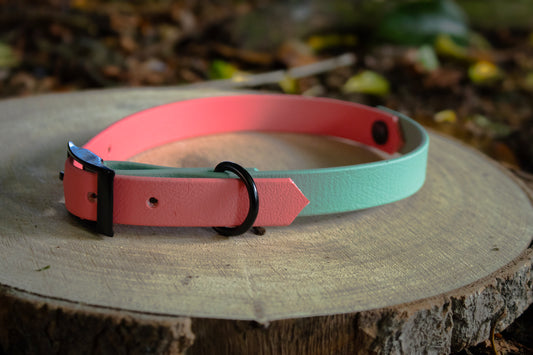 Coral & Sage Green Biothane Dog Collar | Waterproof & Durable